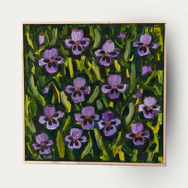 Tante Viole Del Pensiero (Many Pansies)