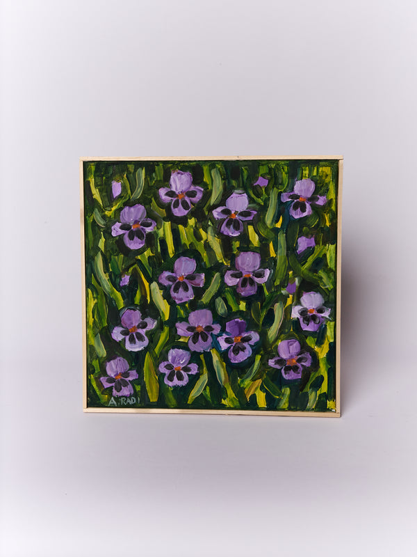 Tante Viole Del Pensiero (Many Pansies)
