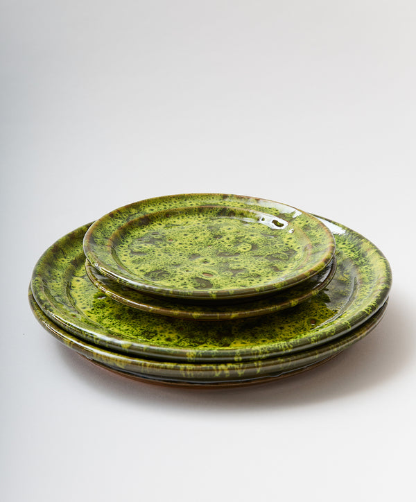 Bosco Terracotta Dinner Plate - alternate view