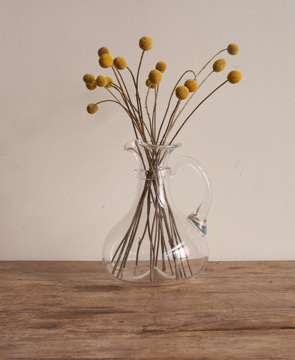 Pitcher - Il Buco Vita / Color~Clear