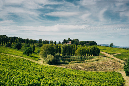 Umbrian Week at il Buco & il Buco Alimentari