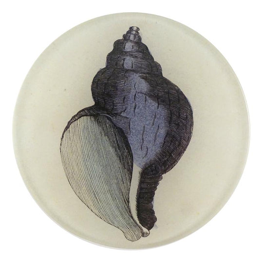 Purple Shell Plate