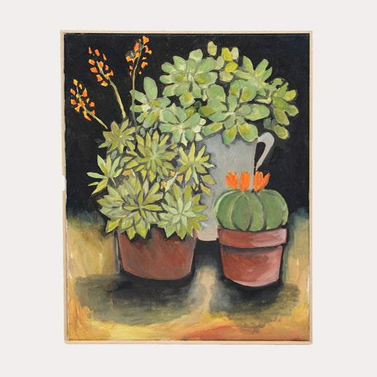 Piante Assortite (Assorted Plants)