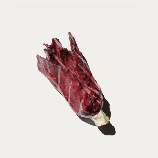 Ceramic Radicchio