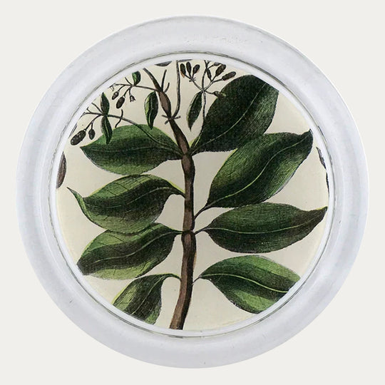 John Derian Quinine Leaves Coaster