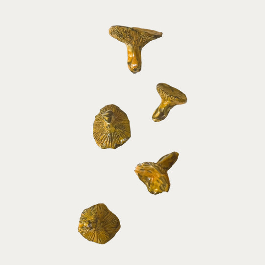 Small Ceramic Mushroom
