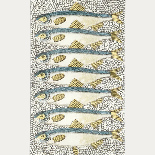 Sardines Tray