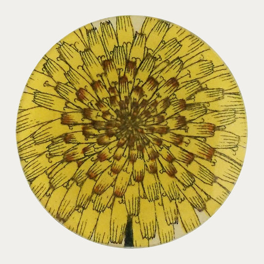Dandelion Flower Plate