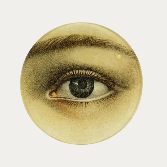 Left Eye Plate