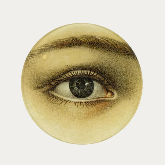 Right Eye Plate