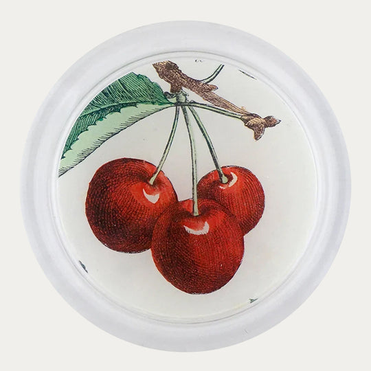 John Derian Cherries Coaster
