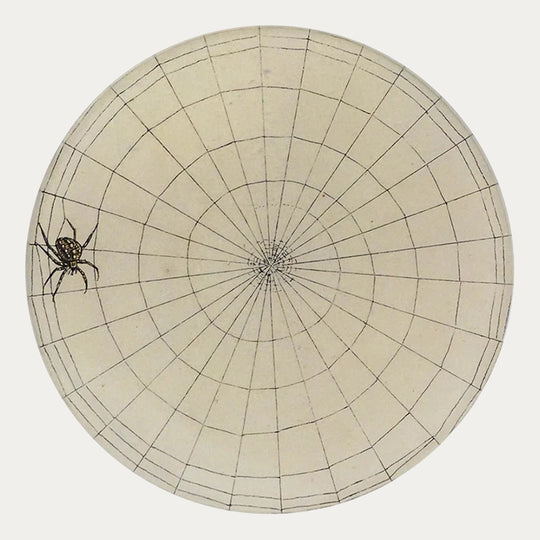 Large Web Plate