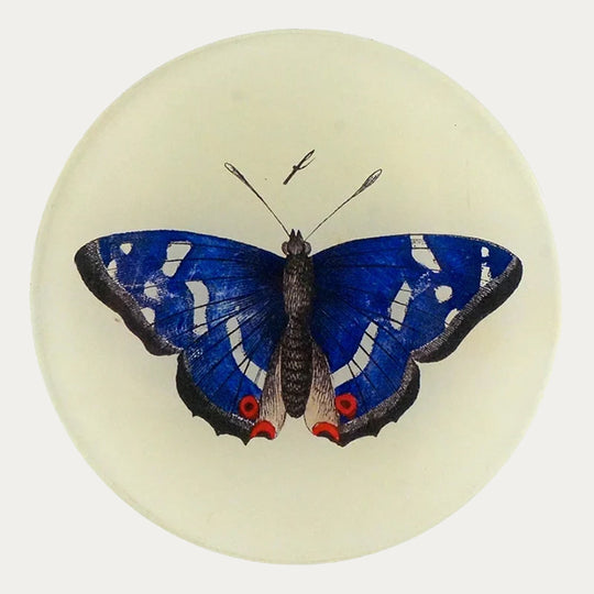 Deep Blue Butterfly Plate