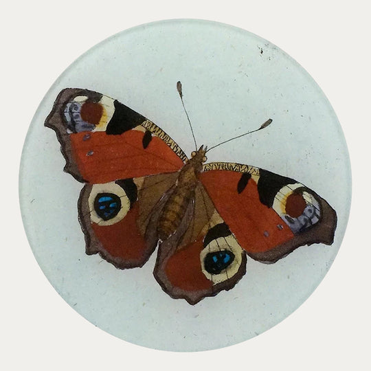 Peacock Butterfly Plate
