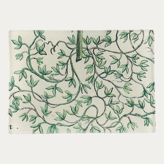 Roots Tray