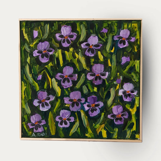 Tante Viole Del Pensiero (Many Pansies)