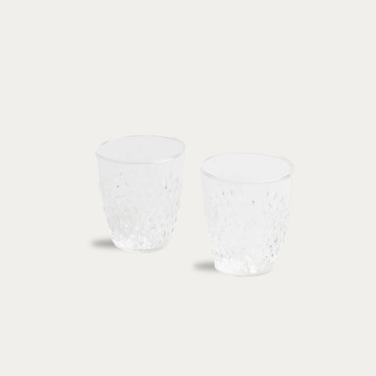 Pienza Rice Patterned Glass Tumbler Set of 2 - Clear