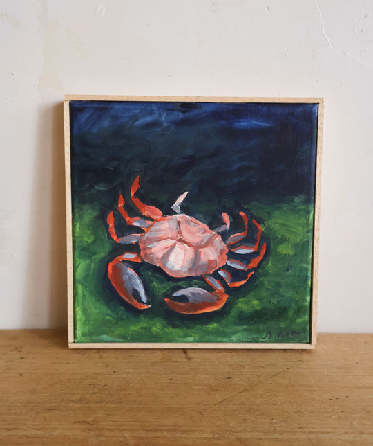 granchio rosso (red crab)