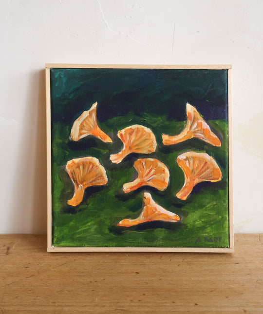 funghi chantarelle (chantarelle Mushrooms)