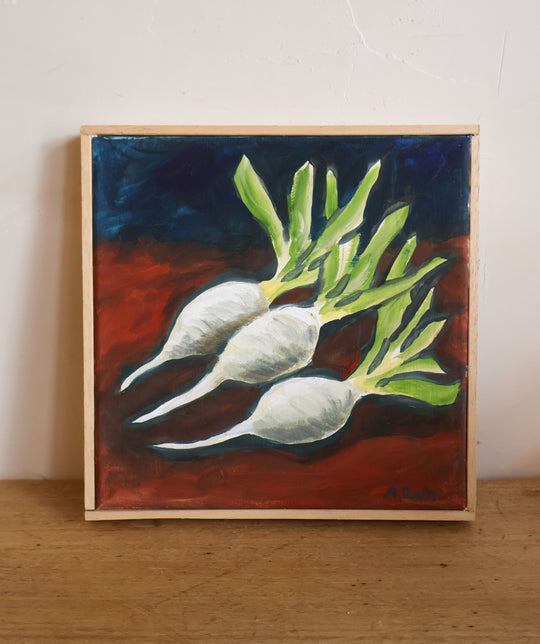 rapanelli bianchi (white radishes)