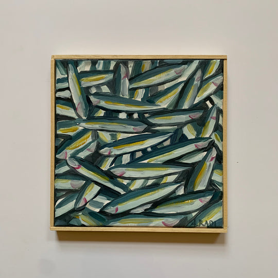 una marea di sardine (a sea of sardines)
