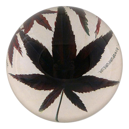Brown Maple Dome Paperweight