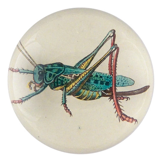 Locust Dome Paperweight