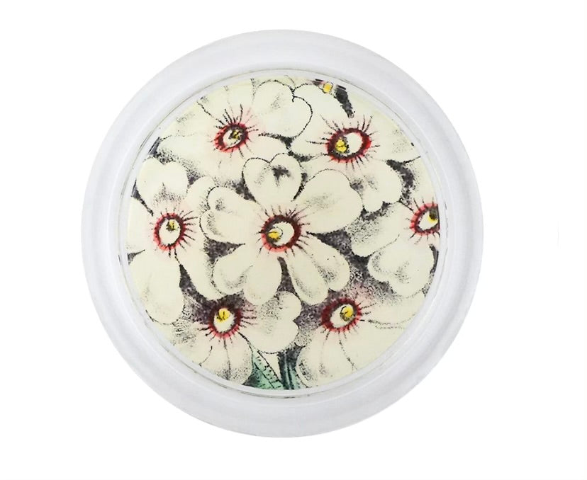   White Primula Coaster  