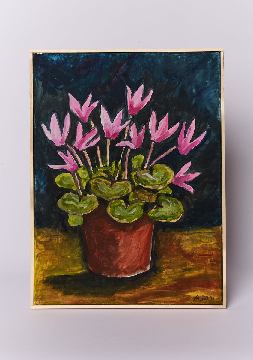 Ciclamini Rosa in Vaso (Pink Cyclamens in a Vase)