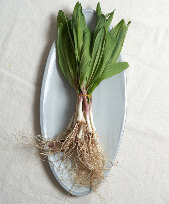 Assisi Small Oval Platter