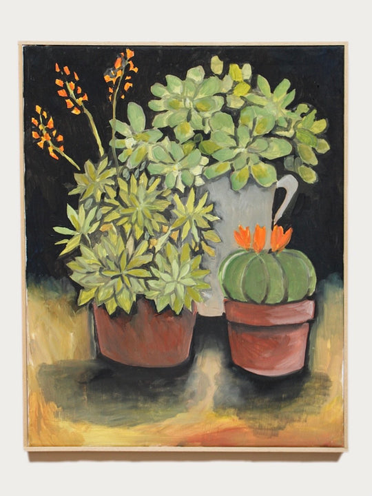 Piante Assortite (Assorted Plants)