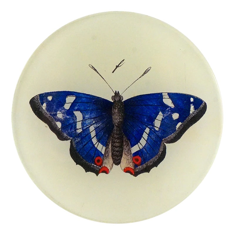   Deep Blue Butterfly Plate  