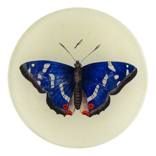 Deep Blue Butterfly Plate