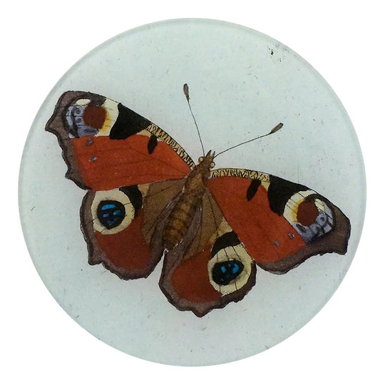 Peacock Butterfly Plate