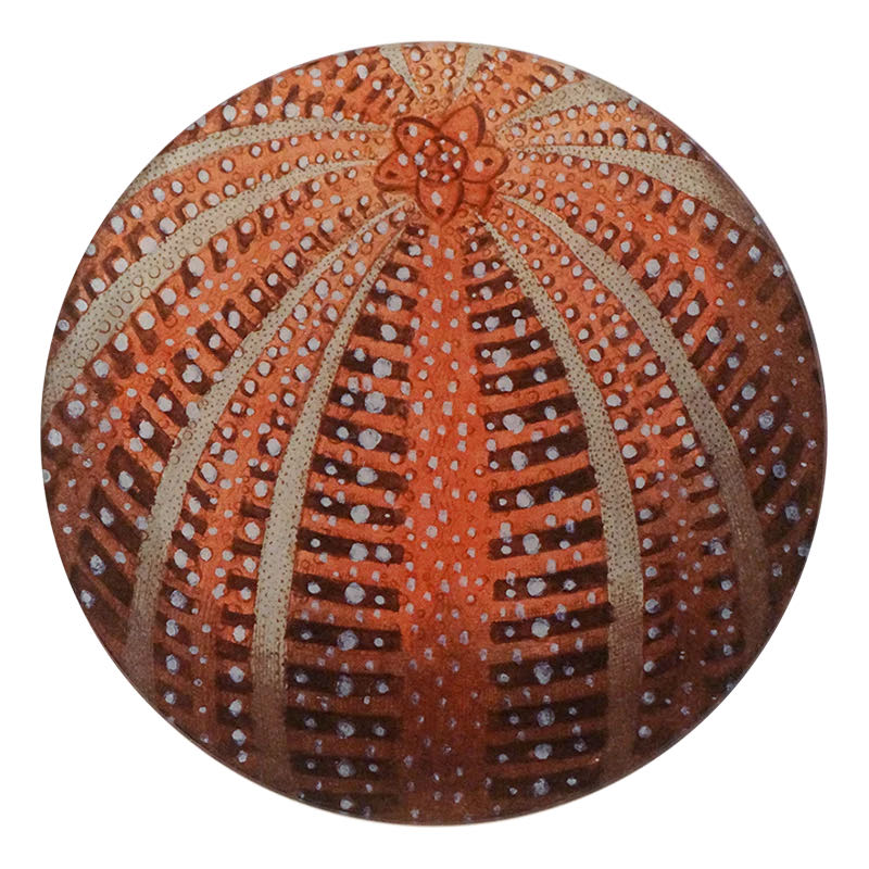   Red Sea Urchin Plate  