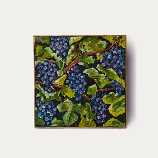 Serie di Uve 5 (Grape Series 5)